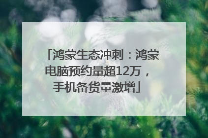 鸿蒙生态冲刺：鸿蒙电脑预约量超12万，手机备货量激增