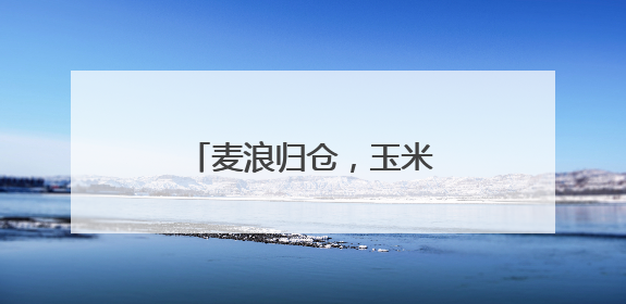 麦浪归仓，玉米接棒，精准滴灌唤醒沙地生产力