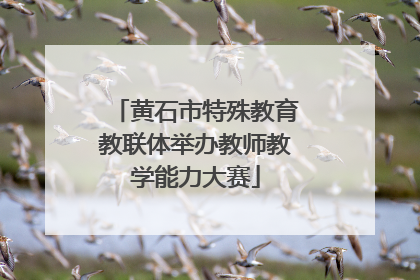 黄石市特殊教育教联体举办教师教学能力大赛