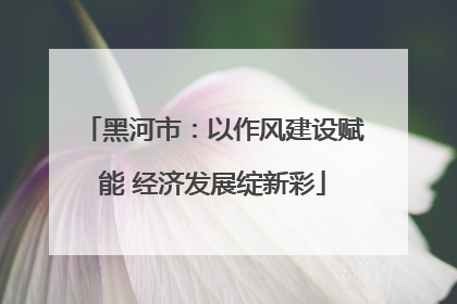 黑河市：以作风建设赋能 经济发展绽新彩