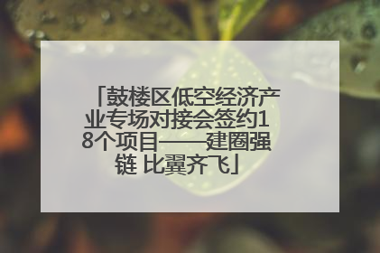 鼓楼区低空经济产业专场对接会签约18个项目——建圈强链 比翼齐飞