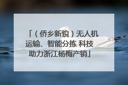 （侨乡新貌）无人机运输、智能分拣 科技助力浙江杨梅产销