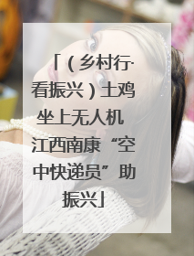 （乡村行·看振兴）土鸡坐上无人机 江西南康“空中快递员”助振兴