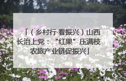 （乡村行·看振兴）山西长治上党：“红果”压满枝 农旅产业链促振兴