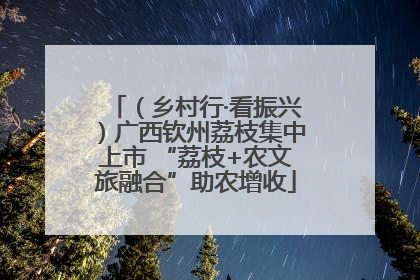 （乡村行·看振兴）广西钦州荔枝集中上市 “荔枝+农文旅融合”助农增收