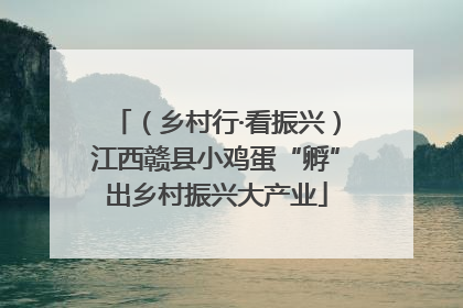 （乡村行·看振兴）江西赣县小鸡蛋“孵”出乡村振兴大产业