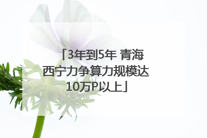3年到5年 青海西宁力争算力规模达10万P以上