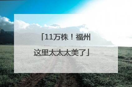 11万株！福州这里太太太美了