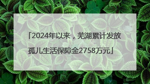 2024年以来，芜湖累计发放孤儿生活保障金2758万元