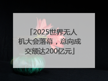 2025世界无人机大会落幕，意向成交额达200亿元