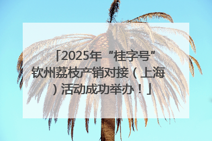 2025年“桂字号”钦州荔枝产销对接（上海）活动成功举办！