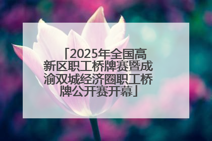 2025年全国高新区职工桥牌赛暨成渝双城经济圈职工桥牌公开赛开幕