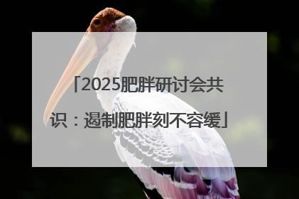 2025肥胖研讨会共识：遏制肥胖刻不容缓