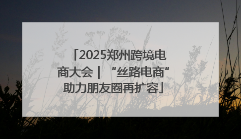 2025郑州跨境电商大会｜“丝路电商”助力朋友圈再扩容