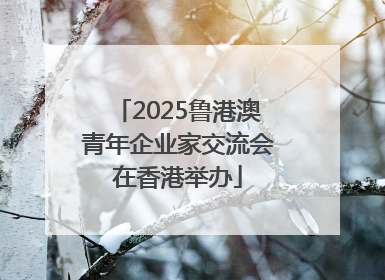 2025鲁港澳青年企业家交流会在香港举办