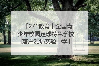 271教育丨全国青少年校园足球特色学校落户潍坊实验中学
