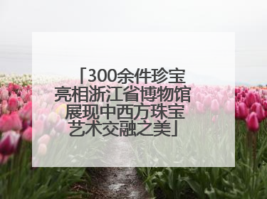 300余件珍宝亮相浙江省博物馆 展现中西方珠宝艺术交融之美