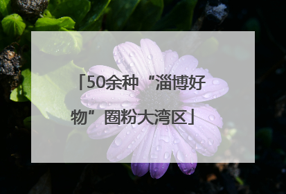 50余种“淄博好物”圈粉大湾区