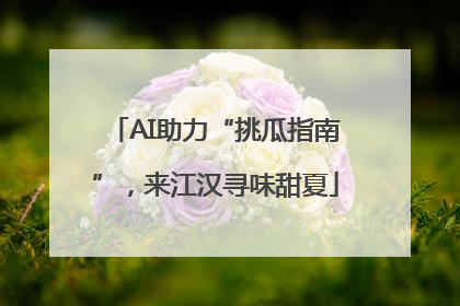 AI助力“挑瓜指南”，来江汉寻味甜夏