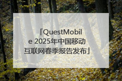 QuestMobile 2025年中国移动互联网春季报告发布